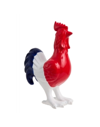 Elégant coq bleu